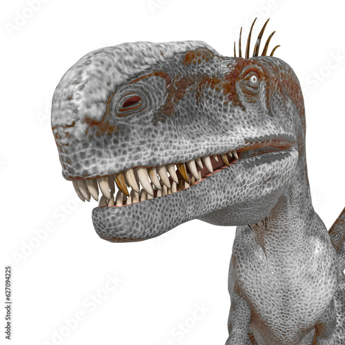 monolophosaurus id profile picture