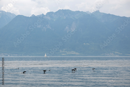 Landscape from town of Vevey to Lake Geneva  Switzerland