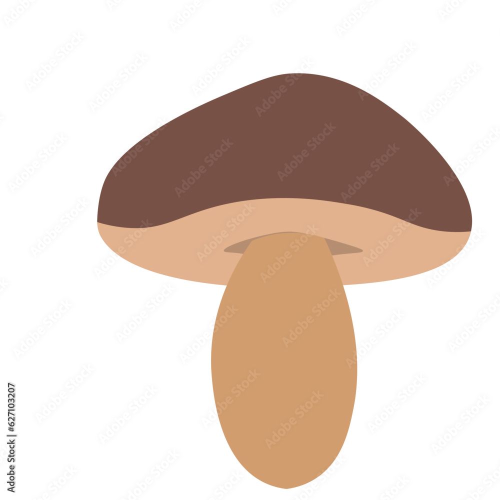 Mushroom Illustration Vector Mushroom Illustration Vector
