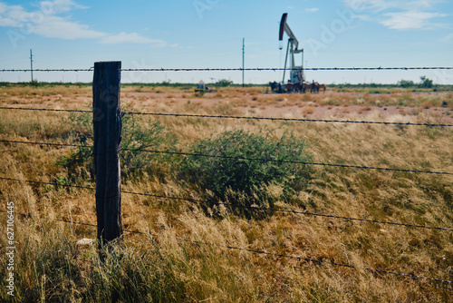 Wall Mural Joy of the Moment Photography