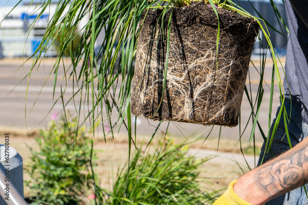 Landscaping Company Tending to A Front Lawn and Flower Bed Cutting Grass and Blowing Debris