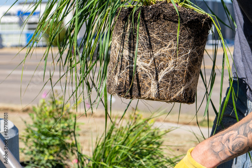 Landscaping Company Tending to A Front Lawn and Flower Bed Cutting Grass and Blowing Debris
