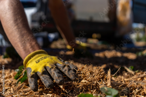 Obraz na płótnie Landscaping Company Tending to A Front Lawn and Flower Bed Cutting Grass and Blowing Debris w salonie