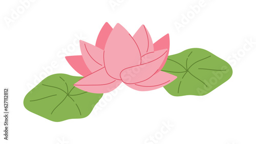 Chinese water lilly vector concept