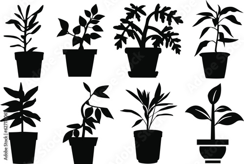 Set of plants in pots. Set of potted plant silhouettes. Black and white potted plants. Potted plant vectors isolated.