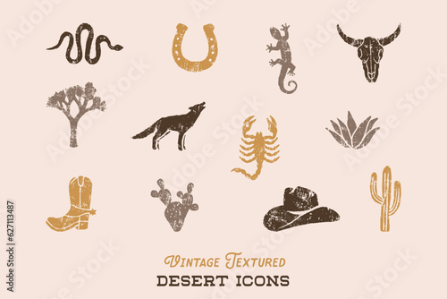 Desert Icons Set with Vintage Texture