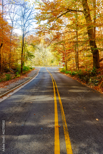 empty car road in the autumn forest. Autumn colors of colorful trees on a sunny day.