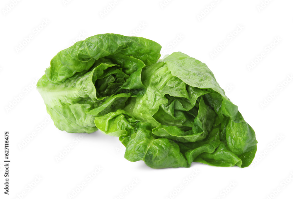 Fresh green romaine lettuces isolated on white Fresh green romaine lettuces isolated on white