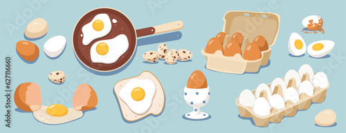 Set of different eggs vector