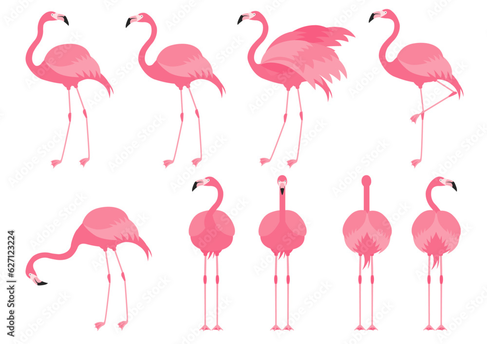 Fototapeta premium 色々なポーズのフラミンゴのイラストのセット