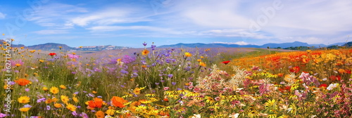  beautiful wild field with flowers ,blue sky and mountains on horizon,nature landscape