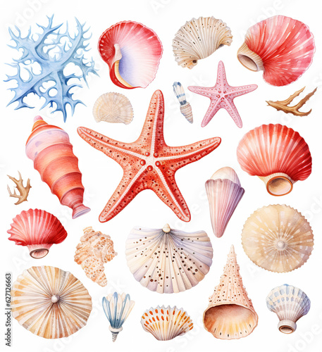 watercolor set of seashells and starfish 