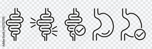 Stomach vector icons.Diet icons. Digestion icons. 