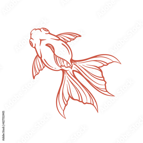 Hand drawn goldfish line art. Goldfish vector illustration
