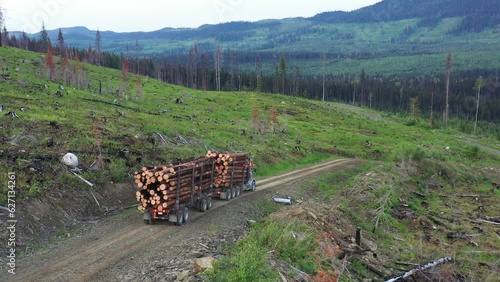 Forestry Economics Unveiled: Logging Truck Moves Harvested Timber