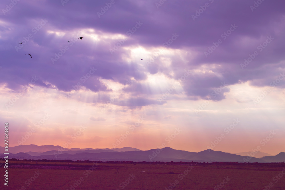 Obraz premium Violet purple sky in morning scenery Vibrant colorful blue sky summer time on sunrise. Natural beautiful landscape. Beauty purple sky romantic dramatic landscape cloudy outdoor paradise in sunset