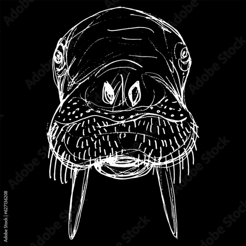 Head of a walrus. Odobenus rosmarus. Animal mask. Hand drawn linear doodle rough sketch. White silhouette on black background.