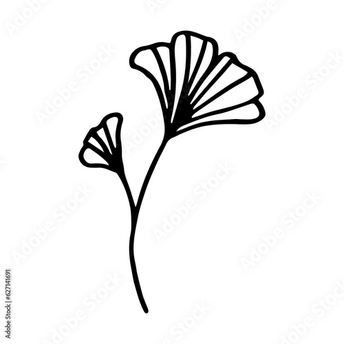 illustration of a exotic plant element
