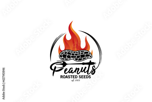 Modern hot roasted peanuts logo design