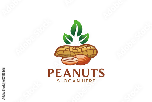 Hand drawn modern peanut logo design, peanut seeds vector illustration