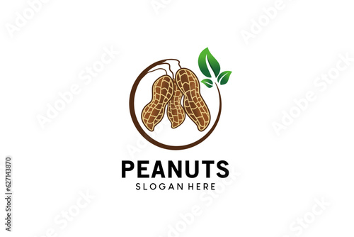 Modern peanut vector for grain food business logo design