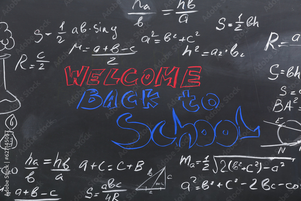 Fototapeta premium Frame made of different formulas with text WELCOME BACK TO SCHOOL on black chalkboard
