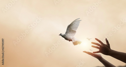 Praying hands and white dove flying happily on blurred background with sunset , hope and freedom concept.