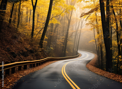 road in autumn forest with misty fog