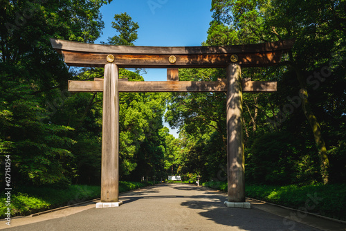 Canvas Print Torii leading to the Meiji Shrine in tokyo, japan