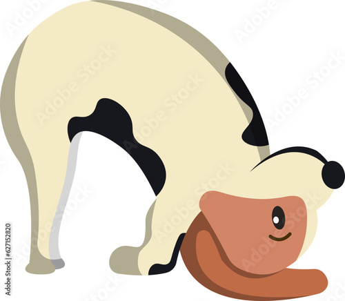 full yoga pose asana