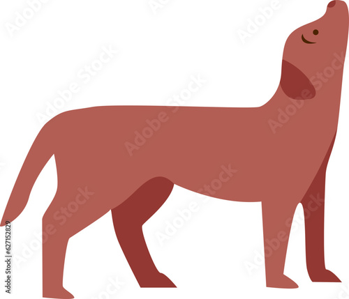dog yoga pose asana