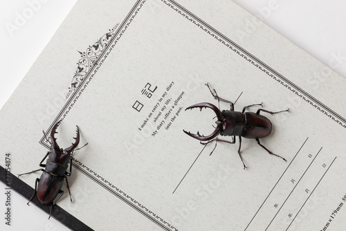 日記帳とクワガタ　Diary and stag beetle photo