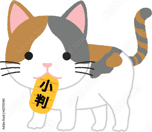 猫に小判のイラスト photo