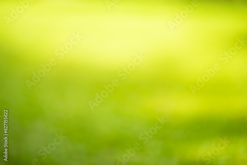 Blurred bokeh of green grass ,lawn garden in morning background,spring season or nature