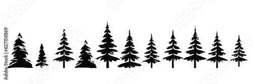 Set of pine tree silhouette, vector spruce tree, ink plant sketch, hand drawing, black silhouette