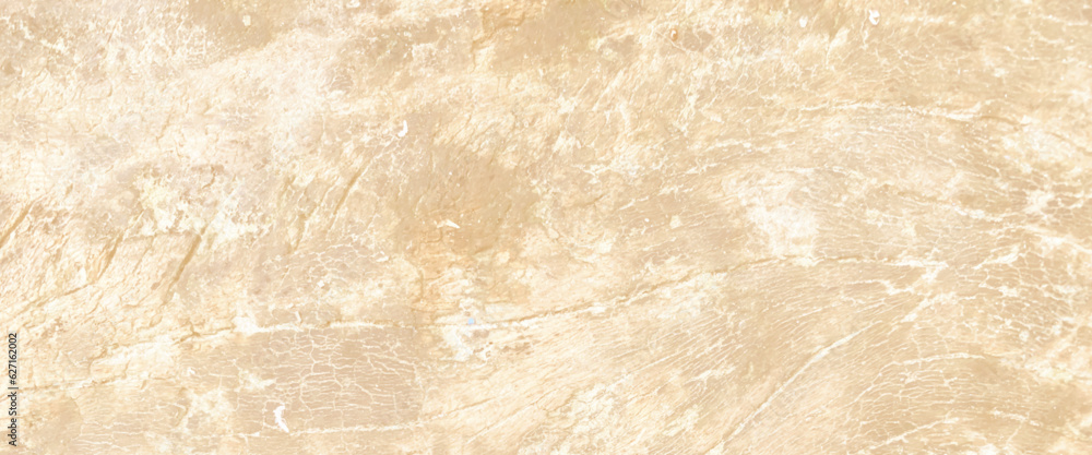 Obraz premium Old grunge dark textured wooden background, The surface of the old brown wood texture, old brown rustic light bright wooden texture, wood background panorama banner long, rustic wood texture.
