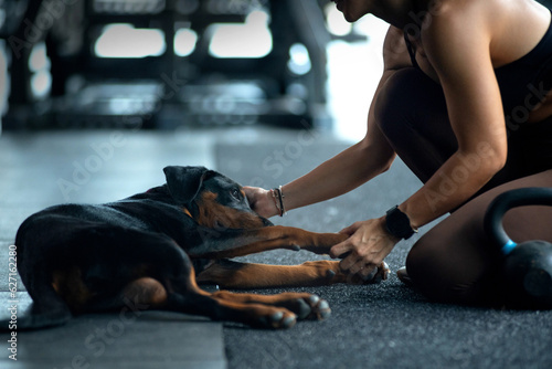Fitness girl teasing and playing with her dog in the fitness gym, relationship between owner and pet