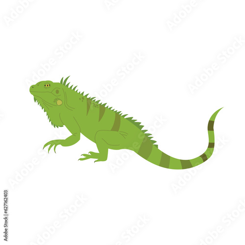Iguana reptile illustration. simple hand drawn style illustration