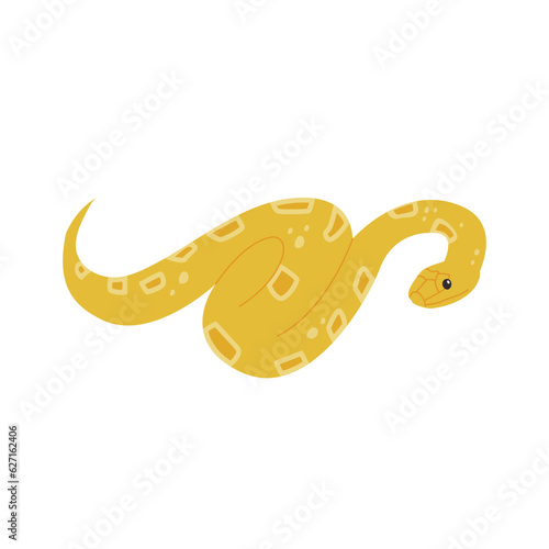 Yellow snake reptile illustration. simple hand drawn style illustration