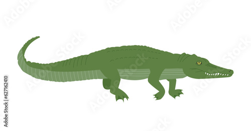An illustration of a crocodile reptile living in a swamp. simple hand drawn style illustration