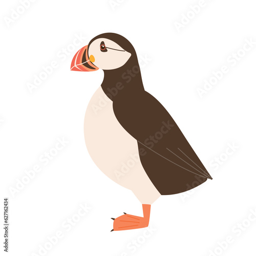 A side view of a puffin. simple hand drawn style bird illustration