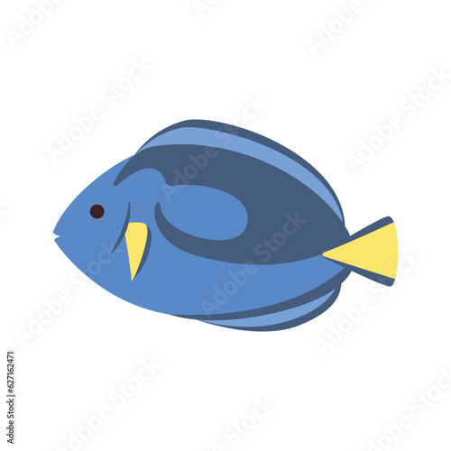 Marine life illustration. Blue tropical blue tang fish.