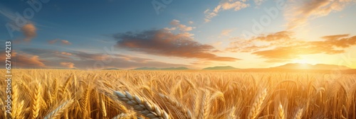Fotografia Rich Golden Wheat Fields Swaying Gently In The Wind