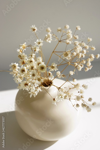 Ceramic vase with dry daisy flowers and sunlight shadow on white table . Botanical poster.Aesthetic interior accessories. Neutral colors