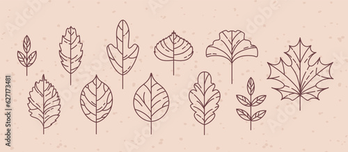 Set of vintage autumn leaf icons. Maple and rowan  ginkgo biloba  Codiaeum  lilac  linden and oak  elm and poplar. Doodle style. For stickers  web design  postcards