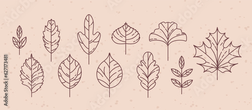 Set of vintage autumn leaf icons. Maple and rowan, ginkgo biloba, Codiaeum, lilac, linden and oak, elm and poplar. Doodle style. For stickers, web design, postcards