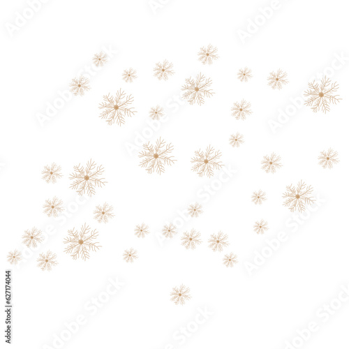 Dandelion Logo, Vector Plant Dandelion flower, Design Icon Template
