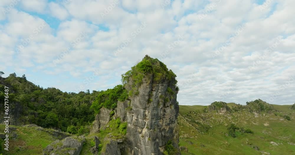 Large rock limestone pillar with native vegetation in New Zealand Large rock limestone pillar with native vegetation in New Zealand