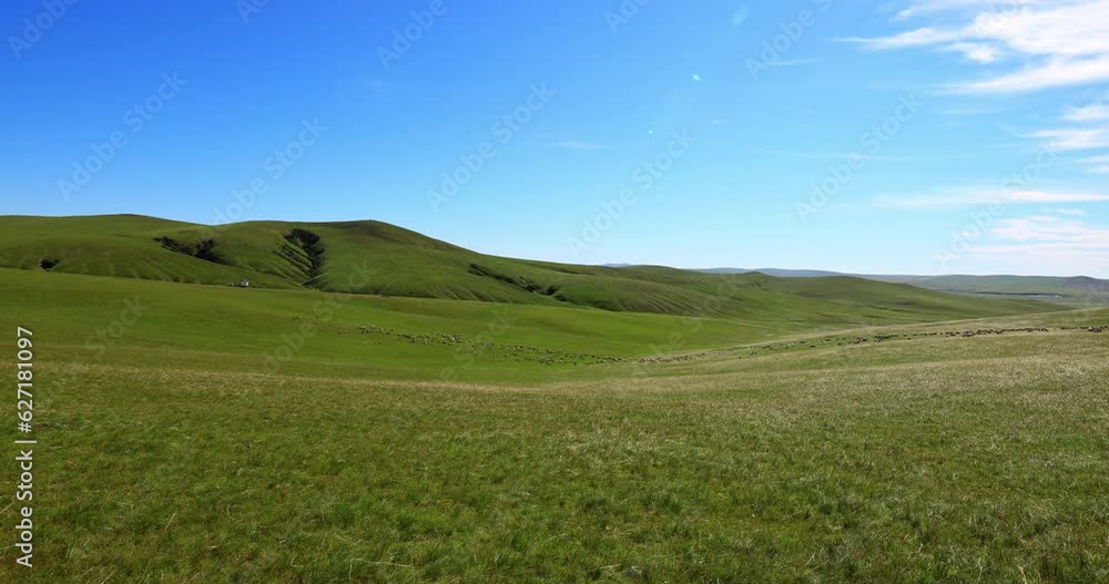 Hulunbuir Grassland, is a world famous natural pasture, is one of the world's four grasslands, known as the world's best grassland. Hulunbuir Grassland, is a world famous natural pasture, is one of the world's four grasslands, known as the world's best grassland.