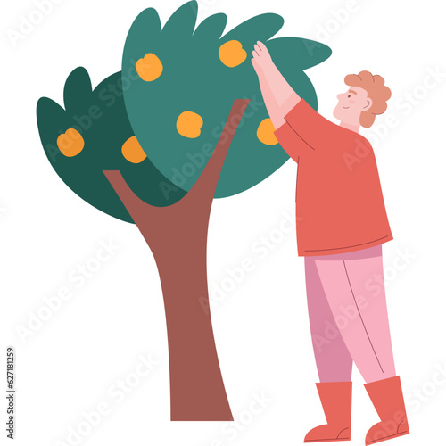 Man picking ripe fruit from tree vector icon